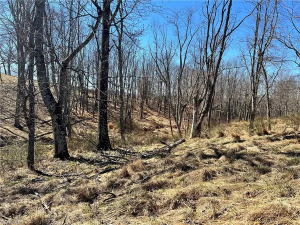$275,000 | Tbd Fireside Drive, Laurel Fork, VA 24352