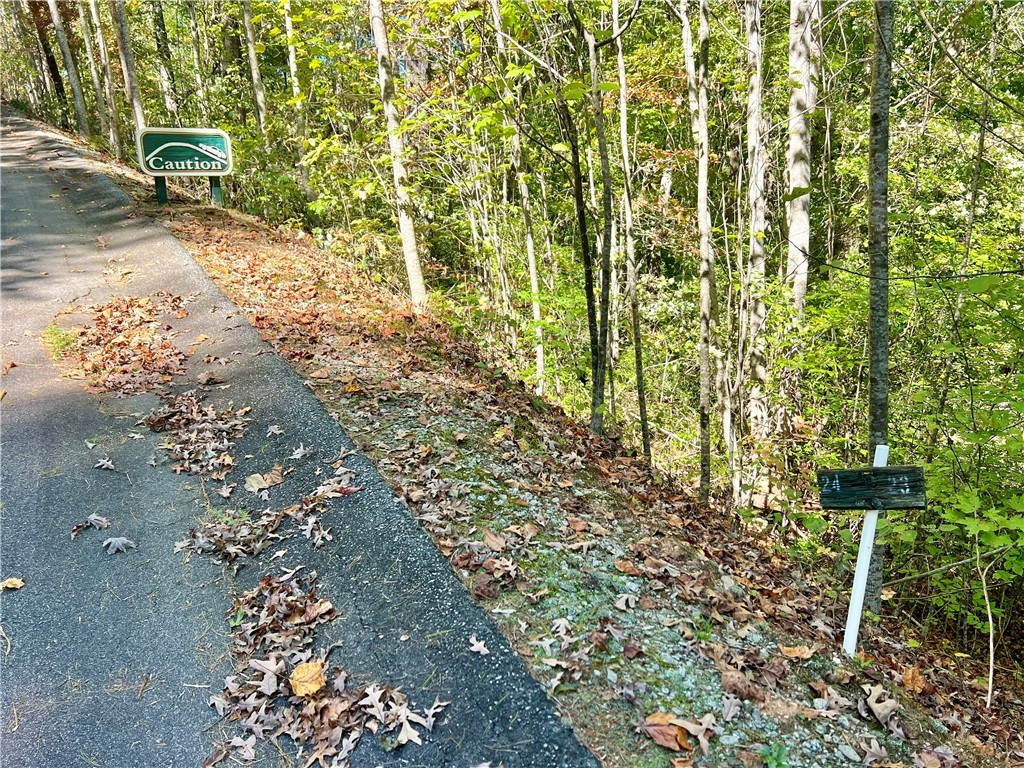 124 Falcon Crest Way Pickens, SC 29671 - Photo 2 of 13 1.36 Acres