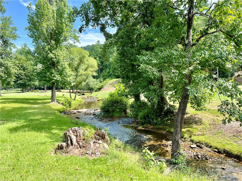 124 Falcon Crest Way Pickens, SC 29671 - Photo 10 of 13 Neighborhood Creek
