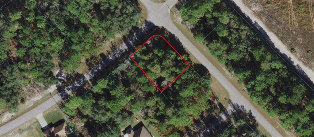 0 Southwest 149th Lane Ocala, FL 34473 - Photo 1 of 1