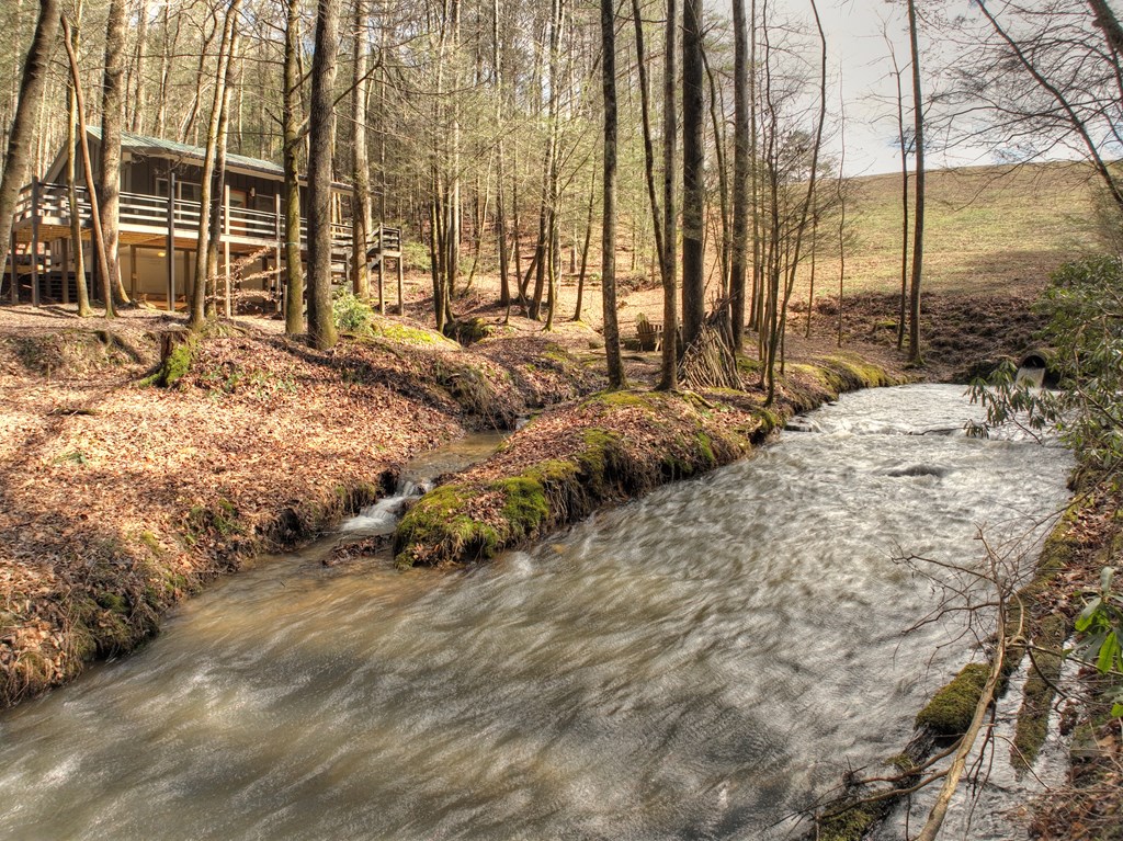 706 Laurel Ridge Drive Blue Ridge, GA 30513 - Photo 37 of 93 Gallery Image 37