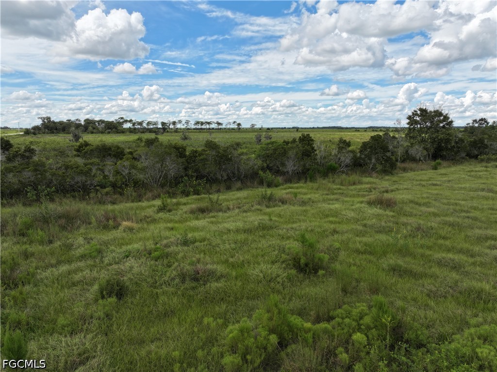 0 County Line Road East Bowling Green, FL 33834 - Photo 11 of 20