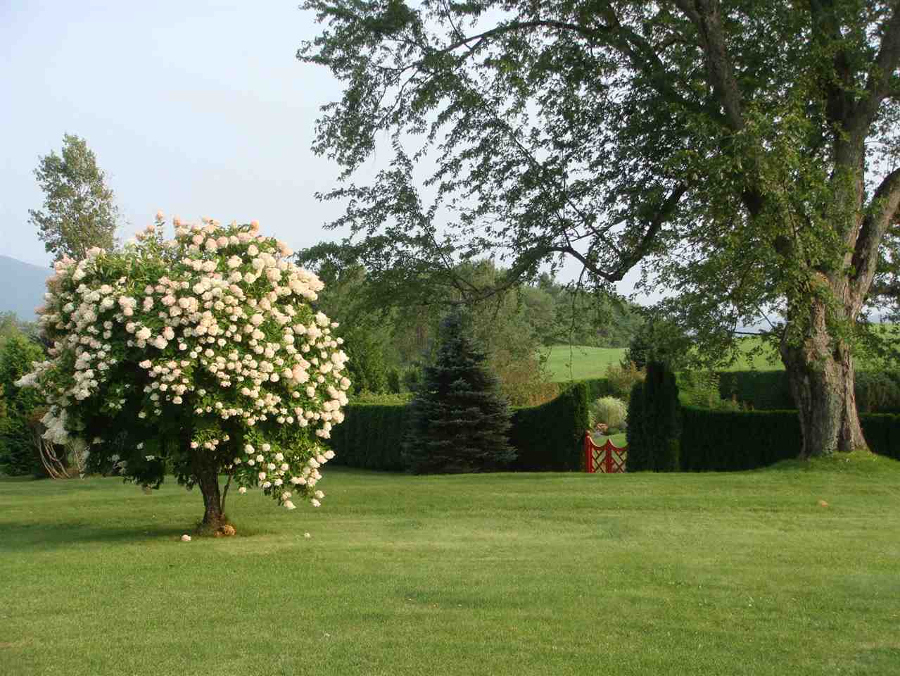 2864 Darling Hill Road Burke, VT 05851 - Photo 26 of 29 Gallery Image 26