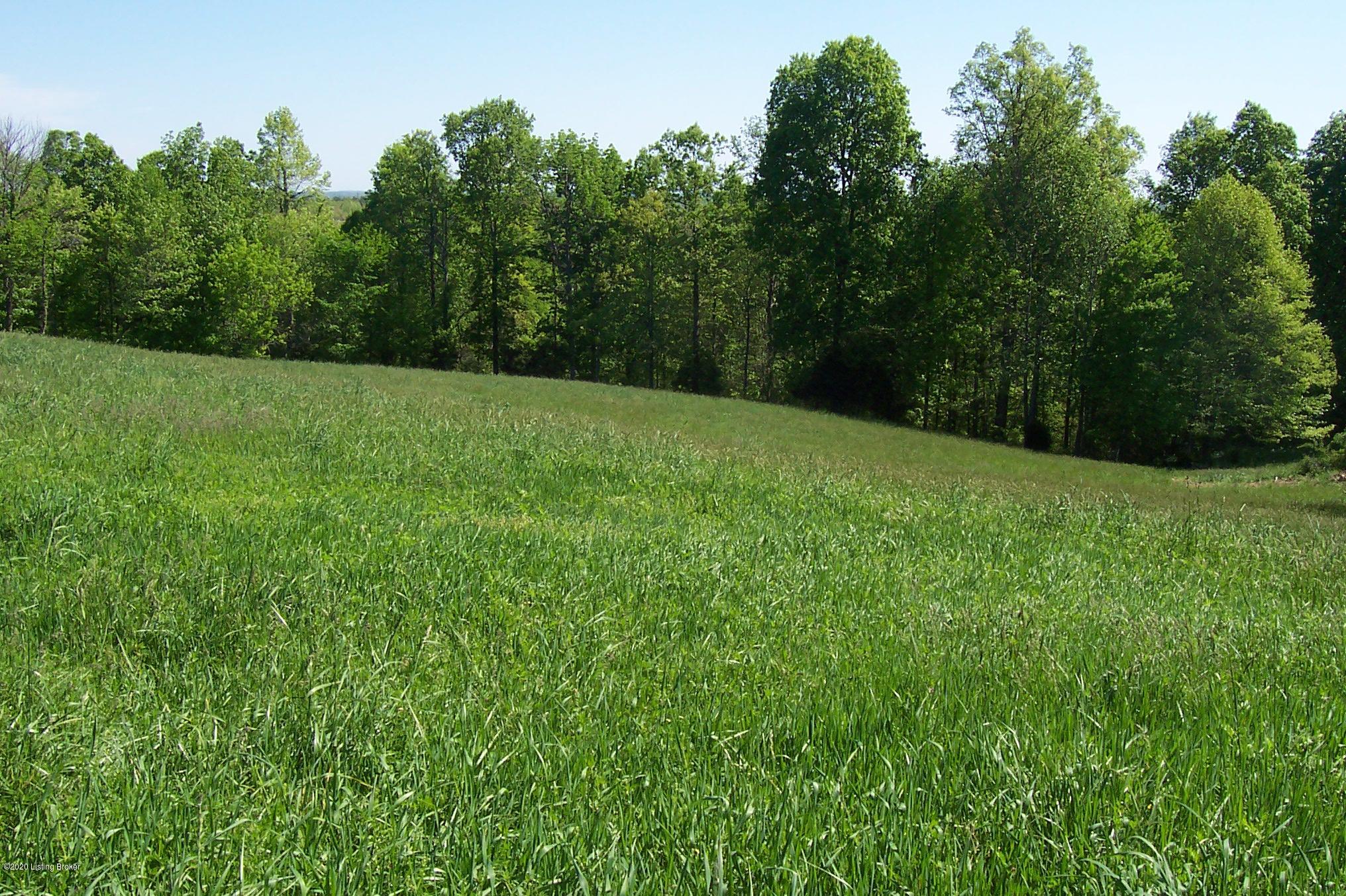 0 Skaggs Road Clarkson, KY 42726 - Photo 12 of 26 100_7310