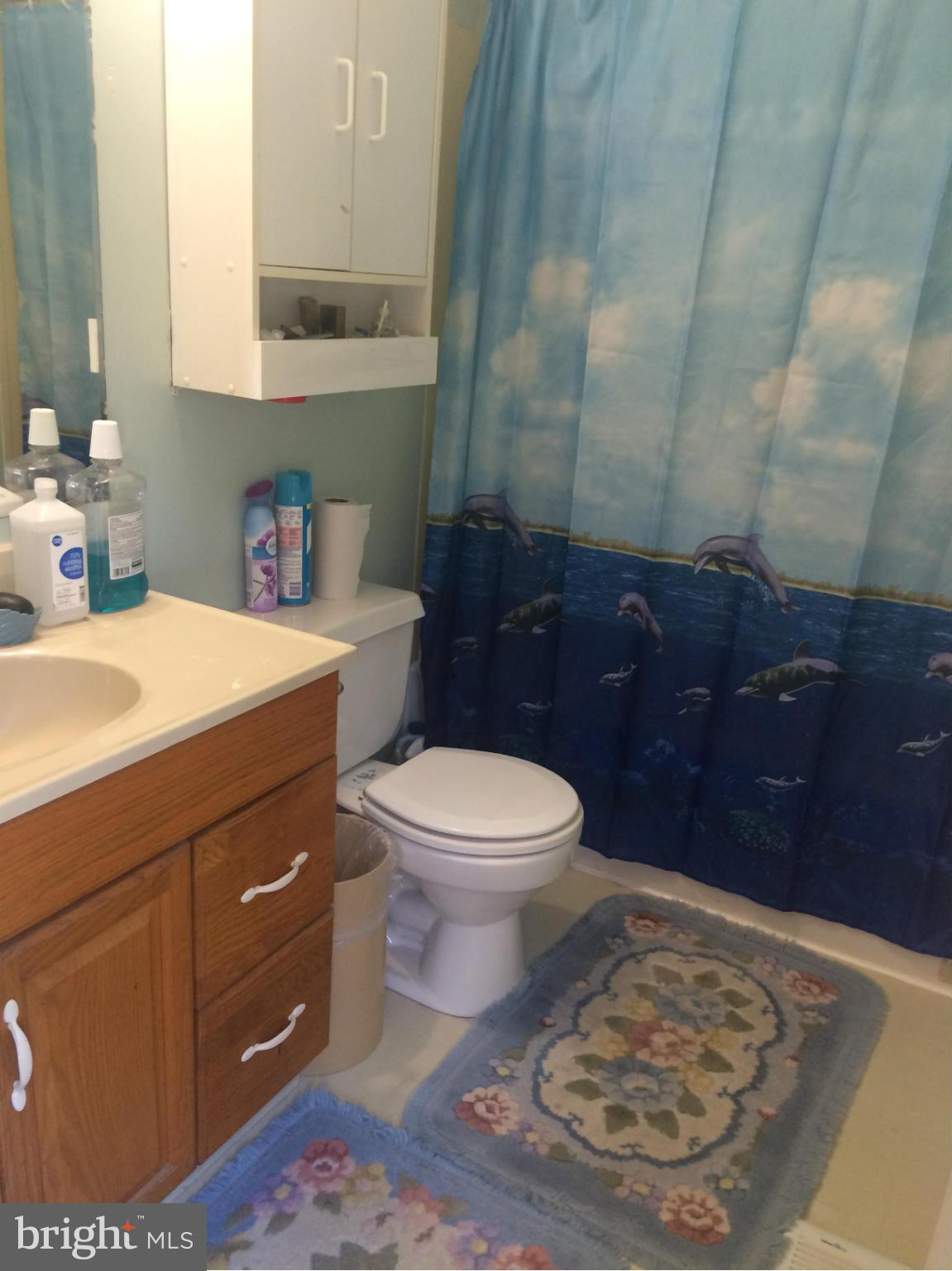 1223 Chillum Road Hyattsville, MD 20782 - Photo 11 of 20 Bath (Master)