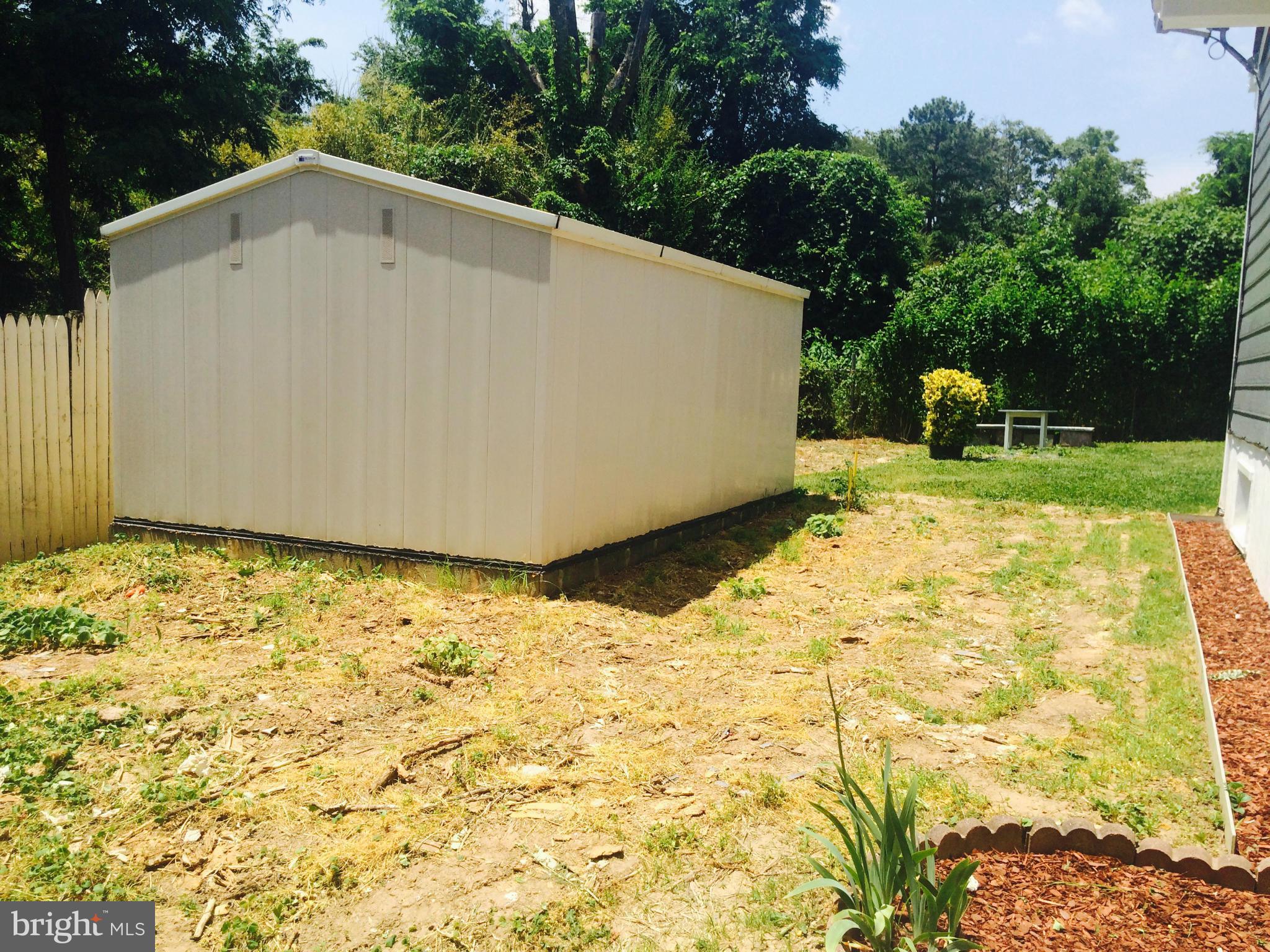 1223 Chillum Road Hyattsville, MD 20782 - Photo 20 of 20 Shed