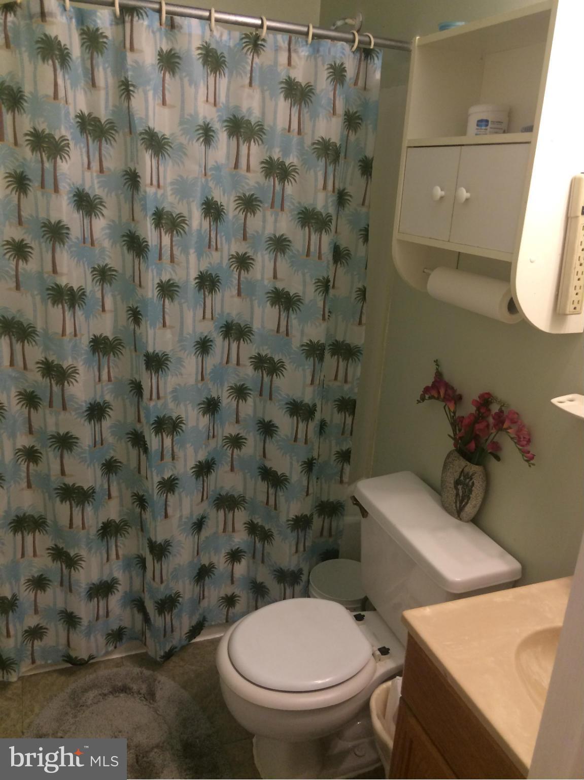 1223 Chillum Road Hyattsville, MD 20782 - Photo 9 of 20 Bath
