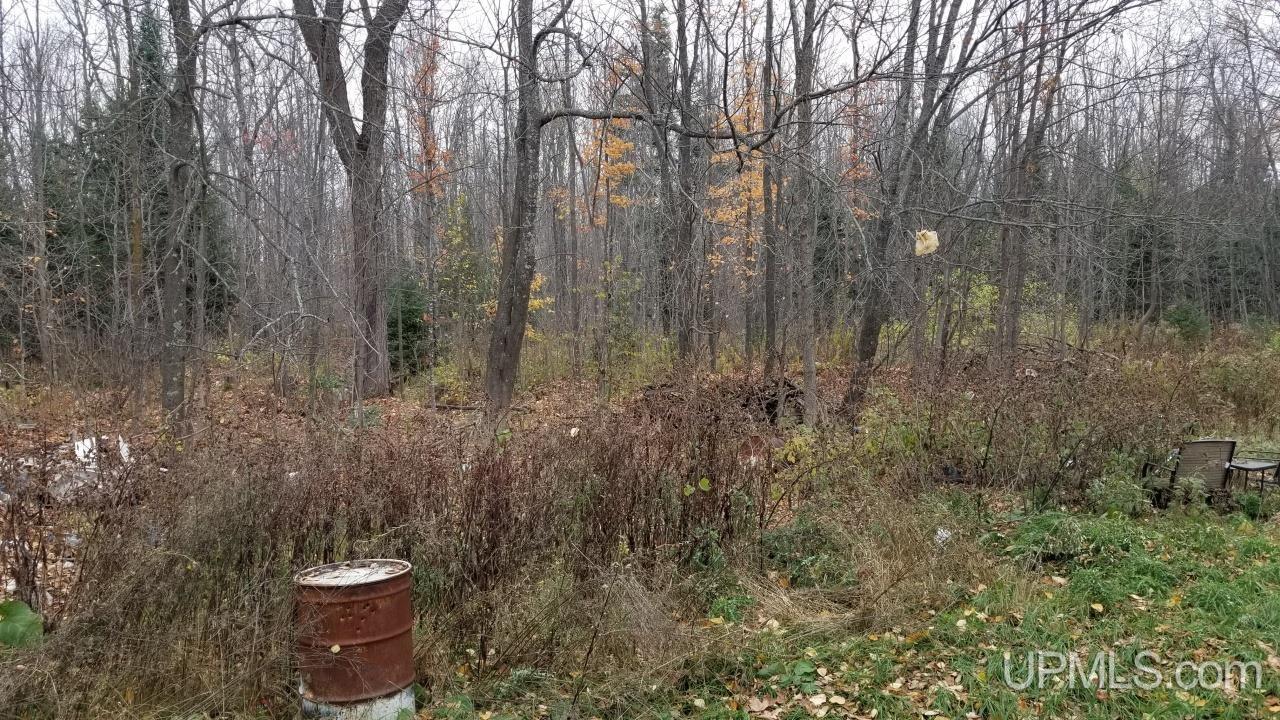 581 Bates-Amasa Road Iron River, MI 49935 - Photo 26 of 33 Gallery Image 26