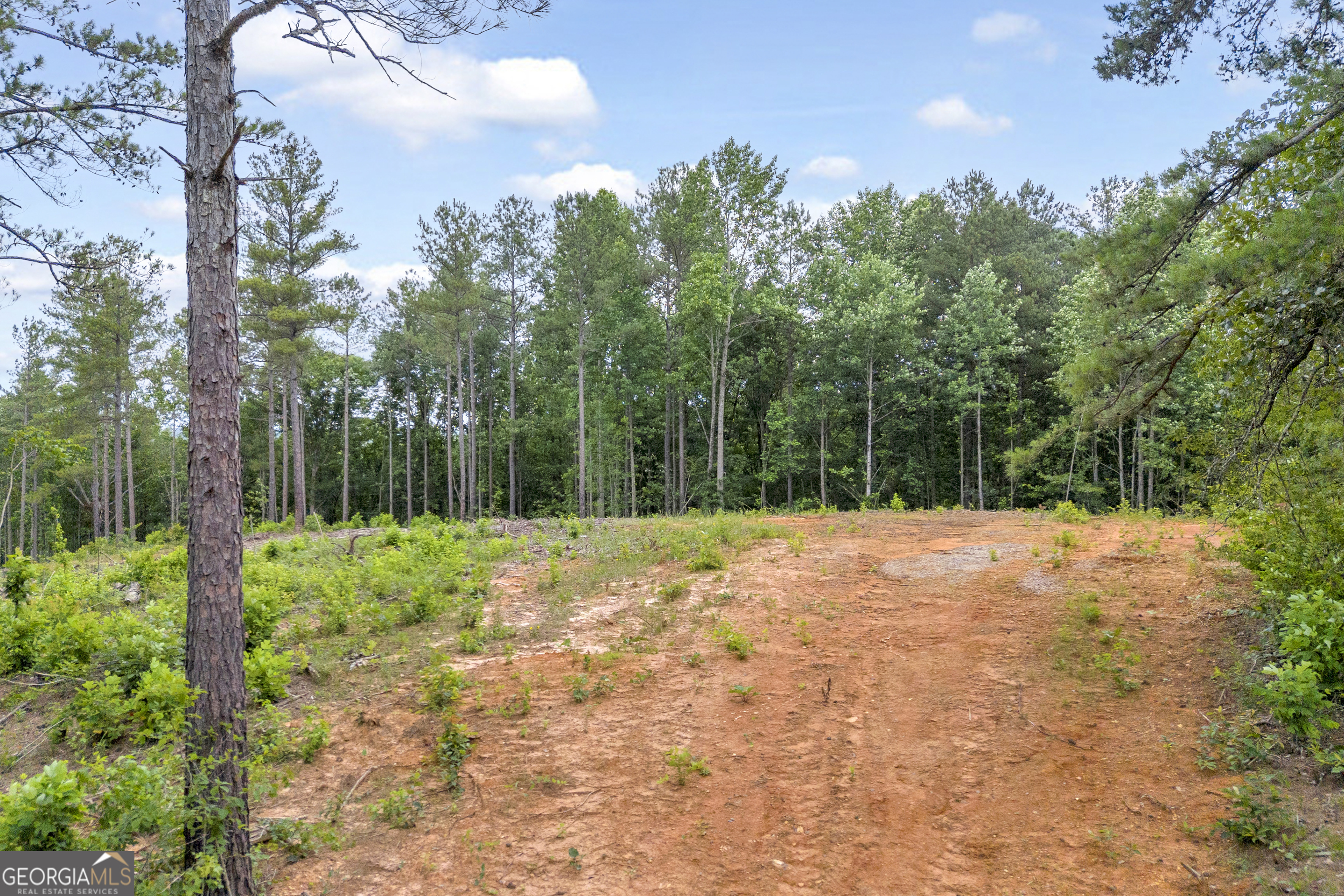 0 Mt Sinai Road, Unit LOT 1 Lula, GA 30554 - Photo 43 of 67