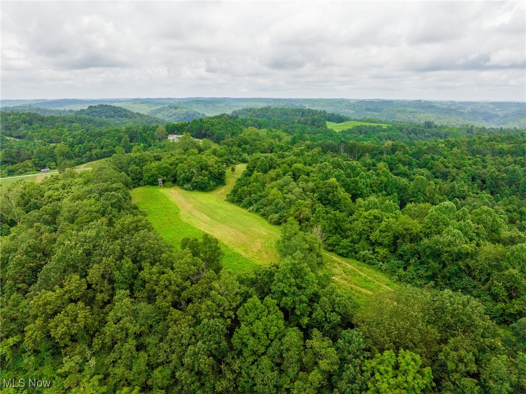 Harrons Ridge Road Dexter City, OH 45727 - Photo 39 of 50 Aerial view of a forest