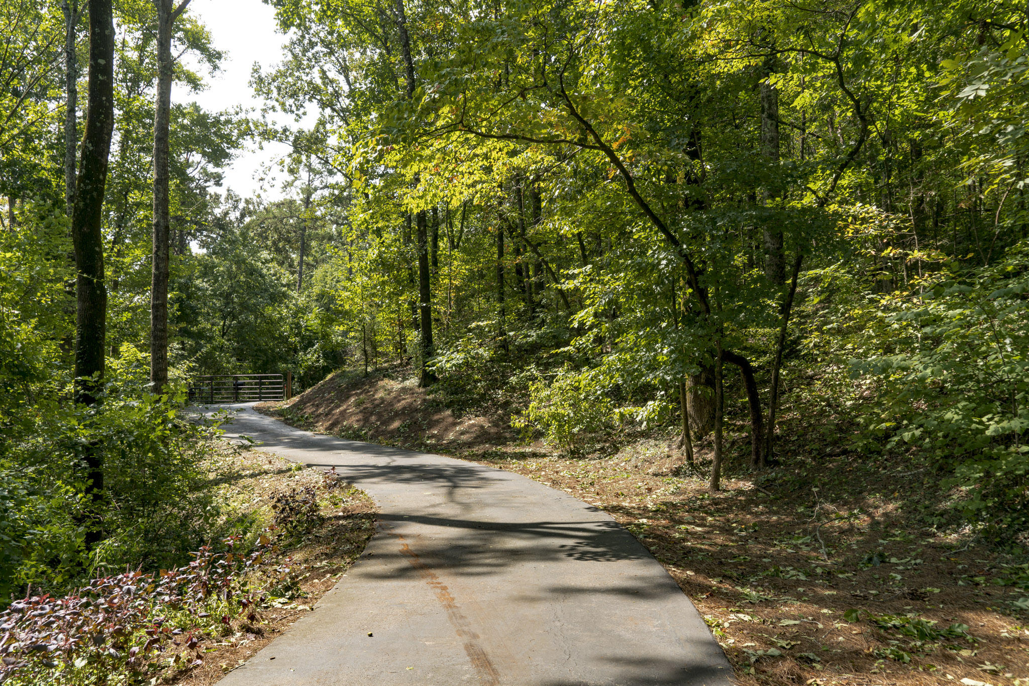 3542 W Road Signal Mountain, TN 37377 - Photo 4 of 37 DSC00167