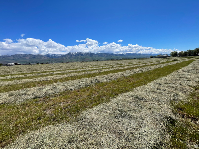 750 North Main Street Lewiston, UT 84320 - Photo 4 of 9 Expansive agricultural field with cut hay rows and green ground cover