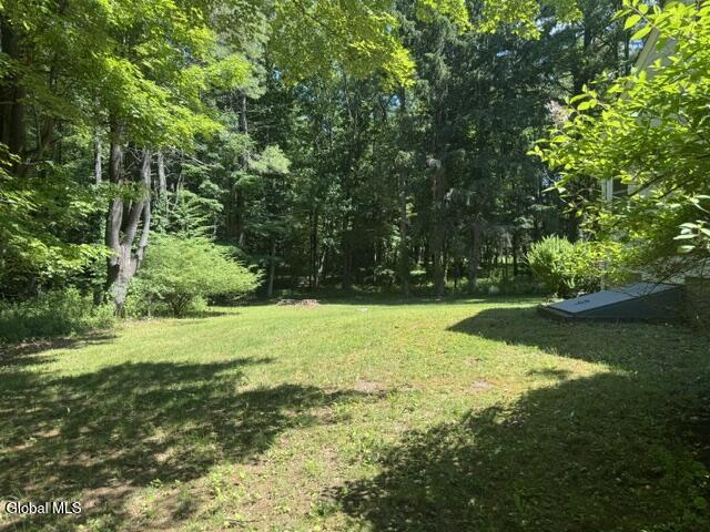 294 Thais Road Sand Lake, NY 12018 - Photo 7 of 28 IMG_2877