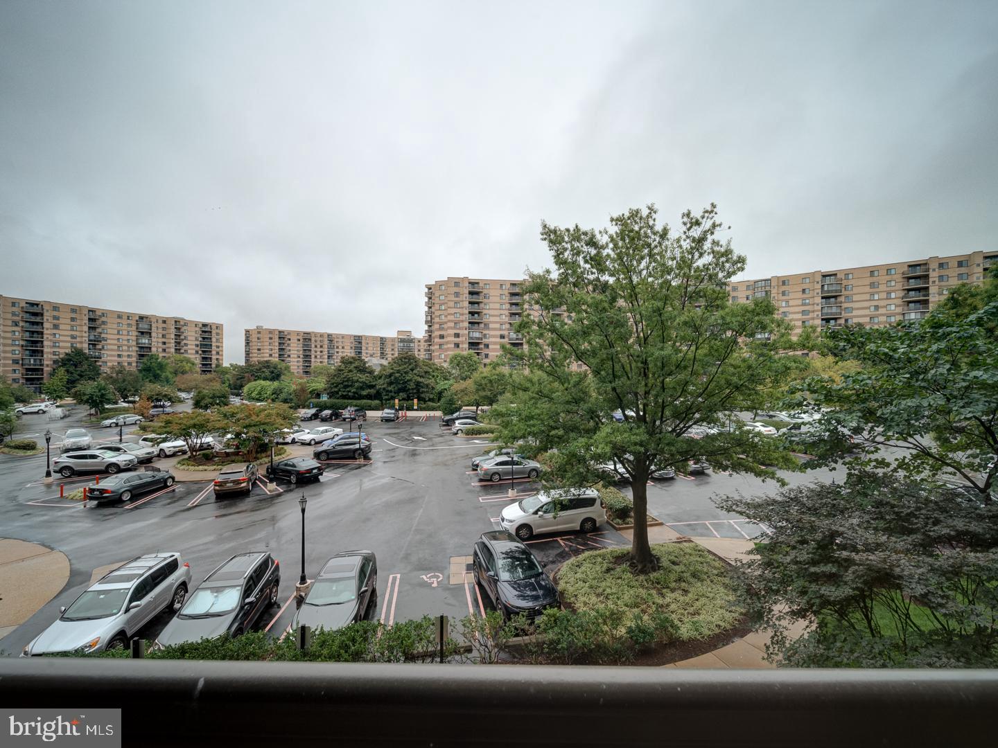 8360 Greensboro Drive, Unit 305 McLean, VA 22102 - Photo 23 of 46 Rotonda's beautiful grounds