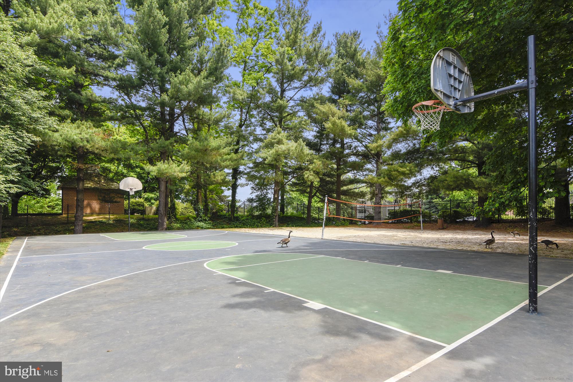 8360 Greensboro Drive, Unit 305 McLean, VA 22102 - Photo 41 of 46 Basketball & sand volleyball courts