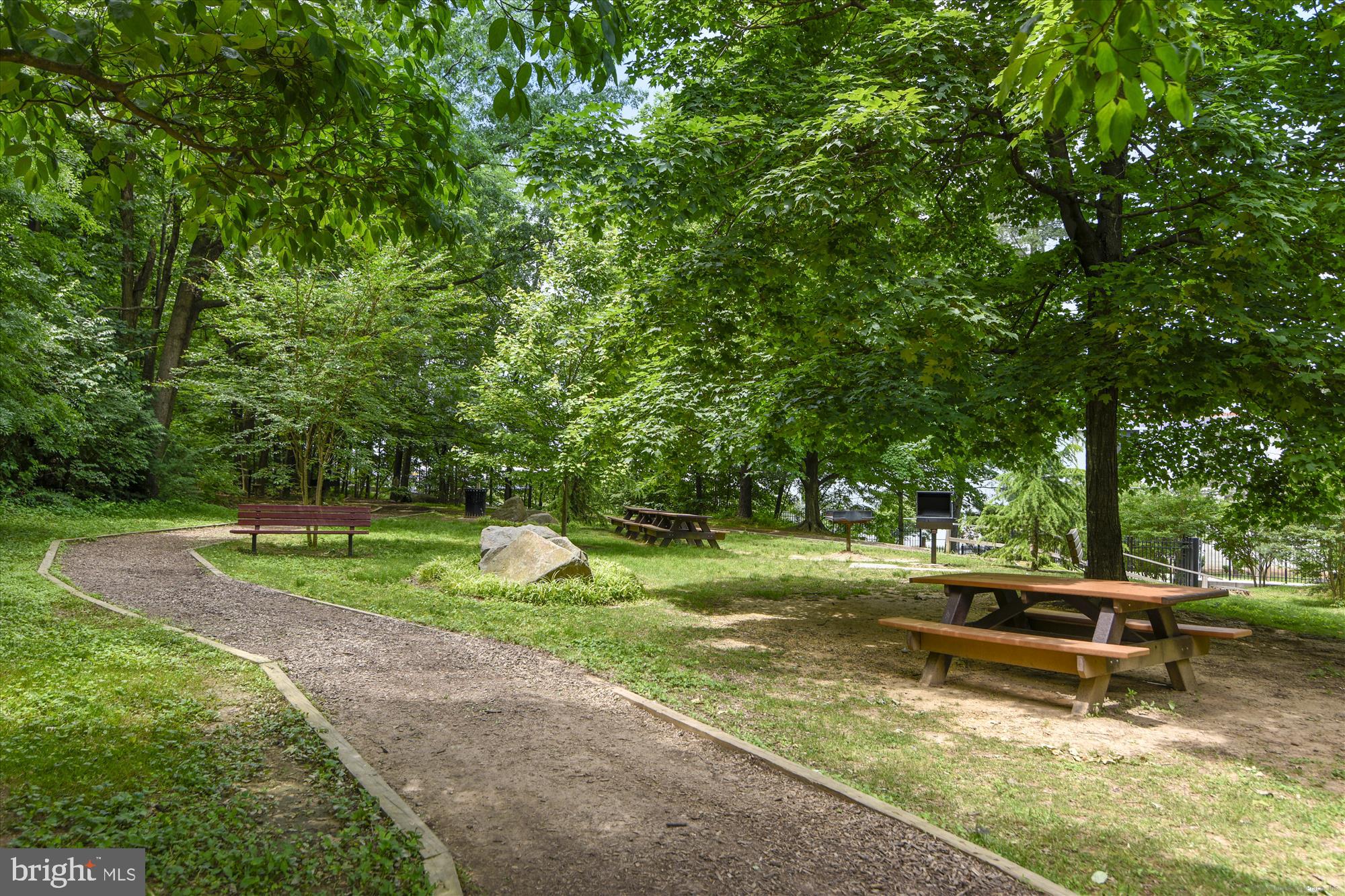8360 Greensboro Drive, Unit 305 McLean, VA 22102 - Photo 44 of 46 Walking trails thru the treed canopy