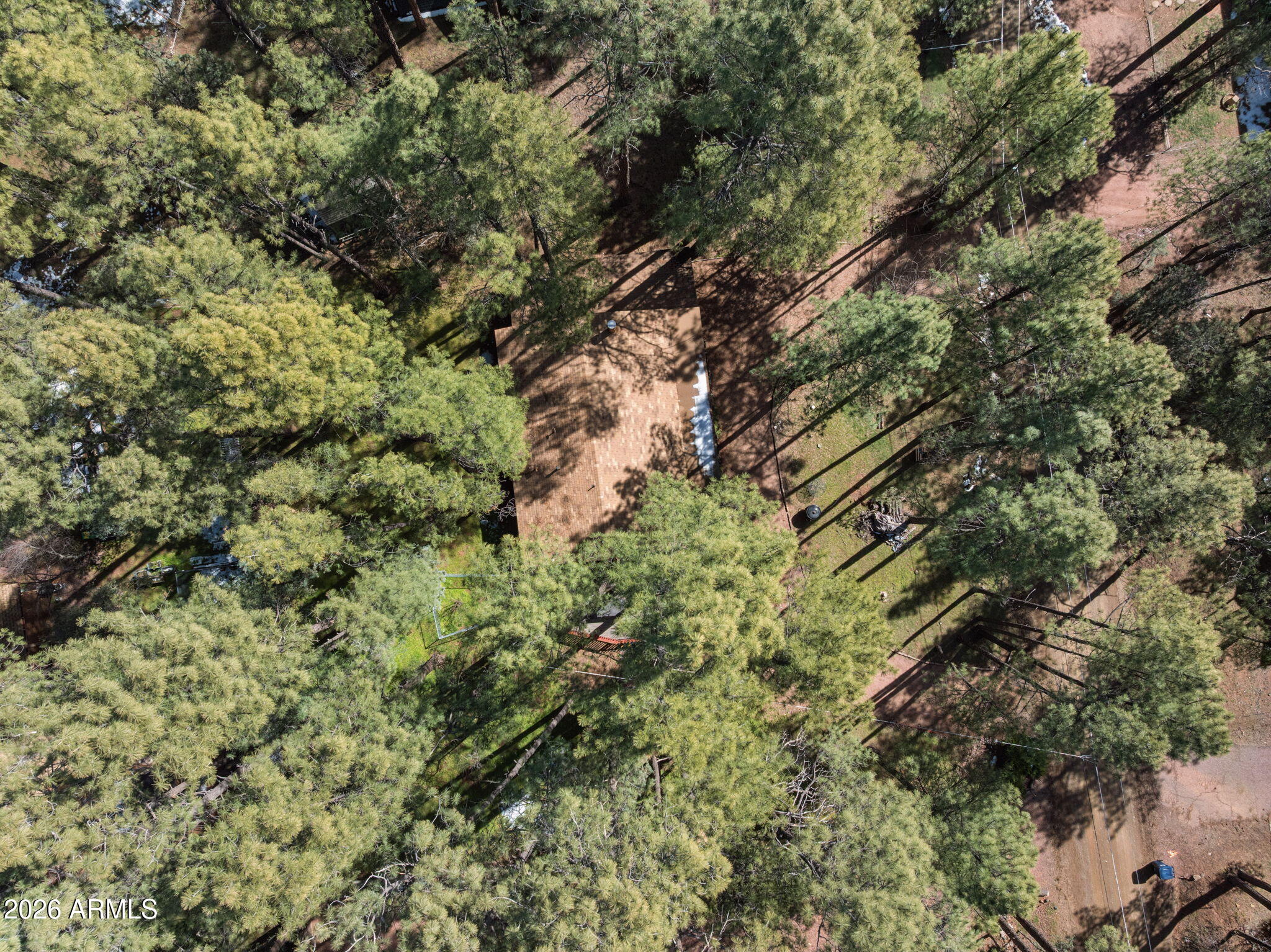 8726 Emmas View Pine, AZ 85544 - Photo 28 of 29 a view of a lush green forest with large trees
