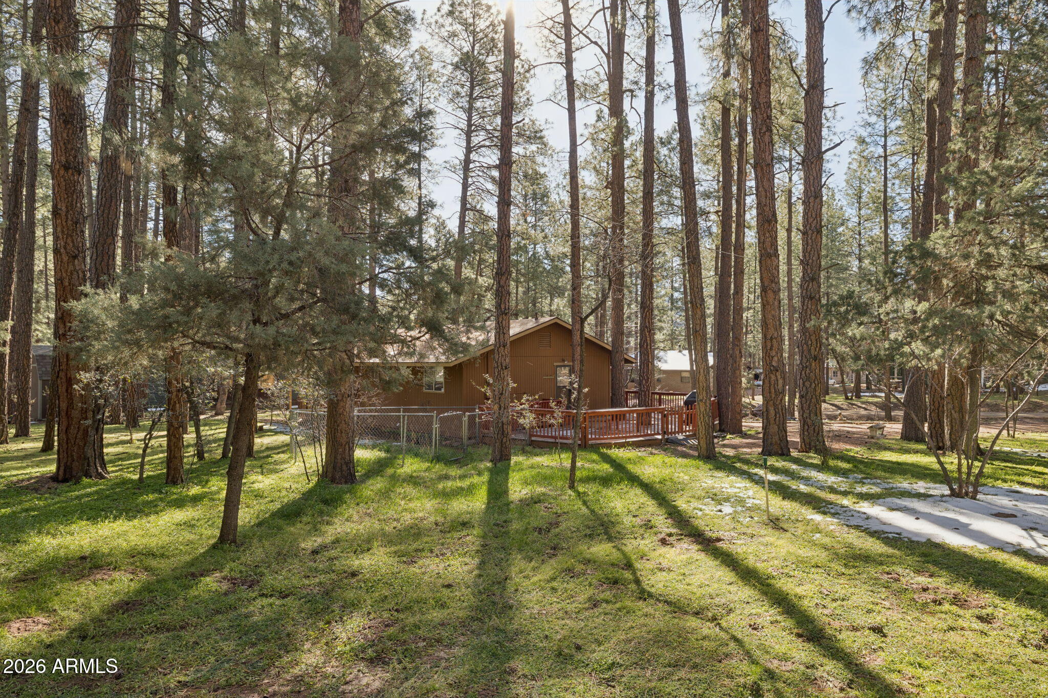 8726 Emmas View Pine, AZ 85544 - Photo 3 of 29 a view of a park with large trees