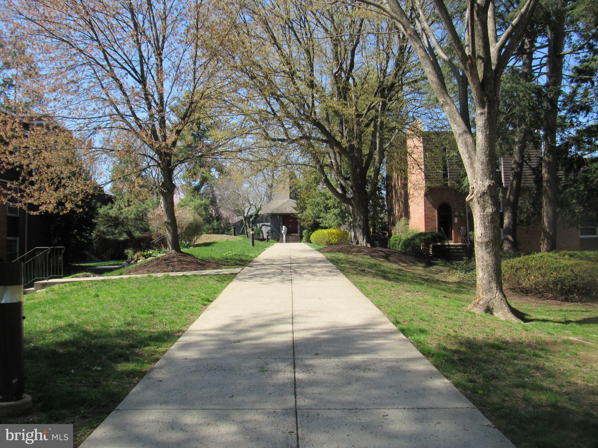 4000 Gypsy Lane, Unit 622F1 Philadelphia, PA 19129 - Photo 33 of 45 a view of park with large trees