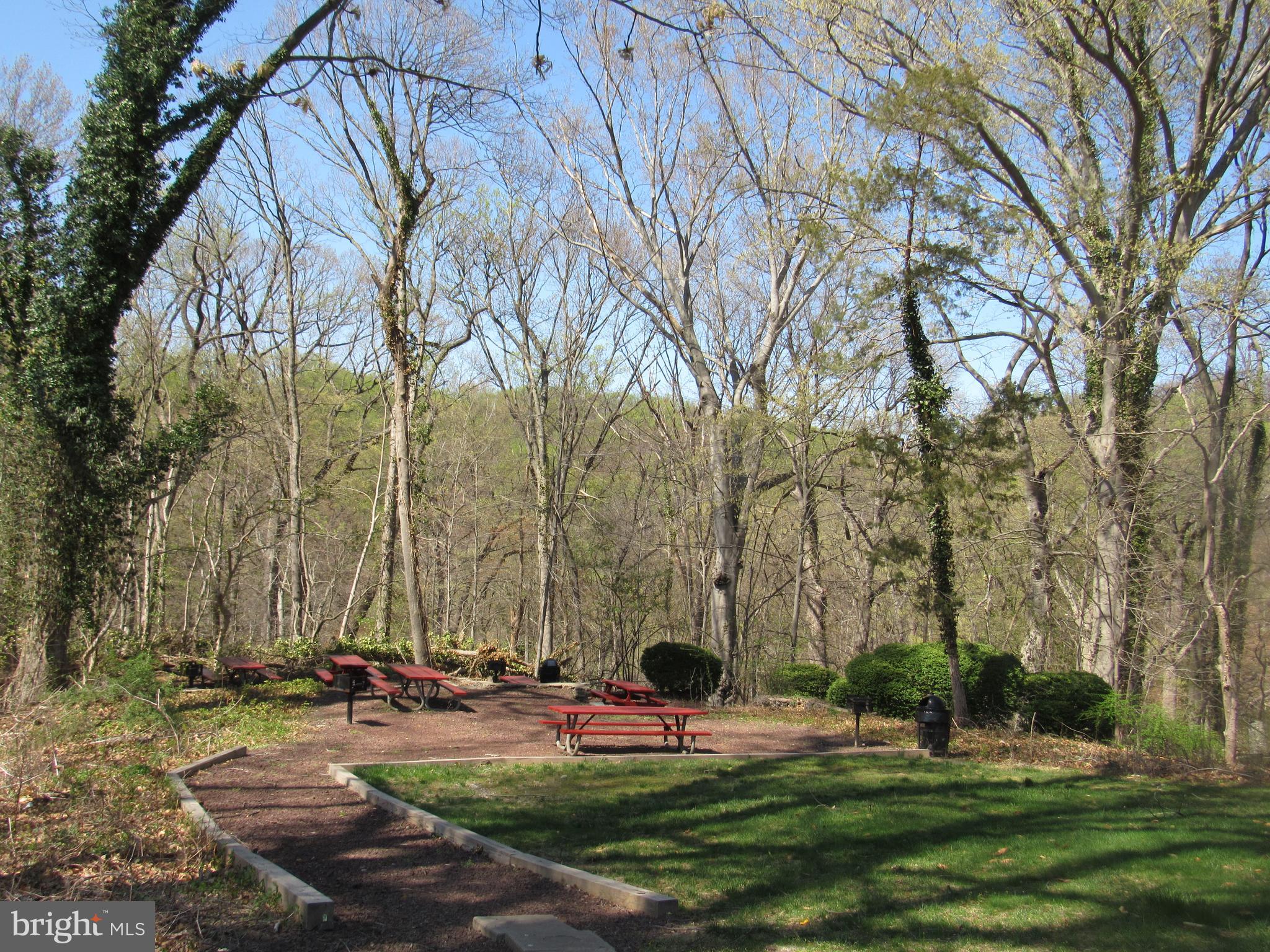 4000 Gypsy Lane, Unit 622F1 Philadelphia, PA 19129 - Photo 40 of 45 a view of a park with large trees