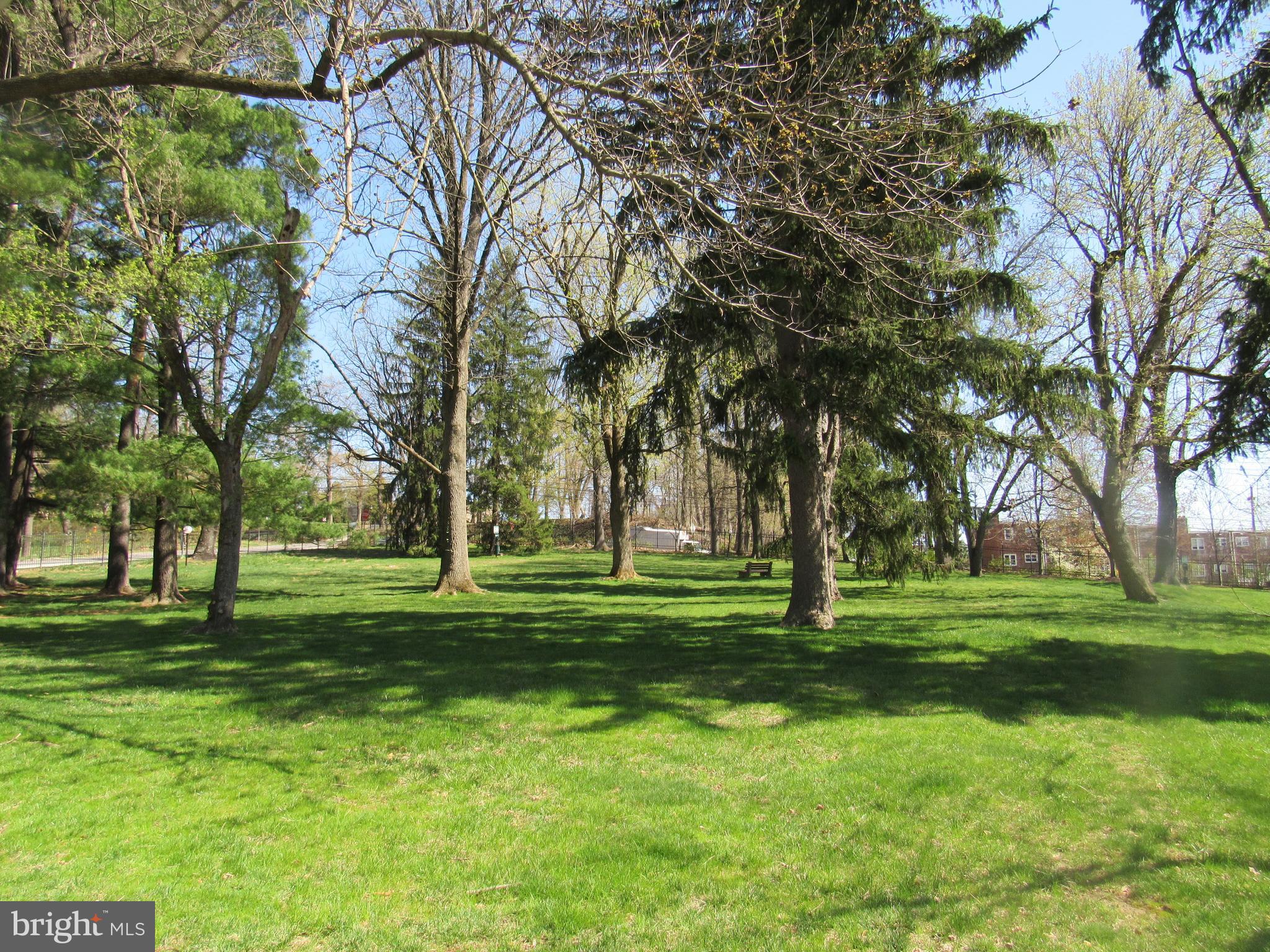4000 Gypsy Lane, Unit 622F1 Philadelphia, PA 19129 - Photo 43 of 45 a big yard with lots of trees