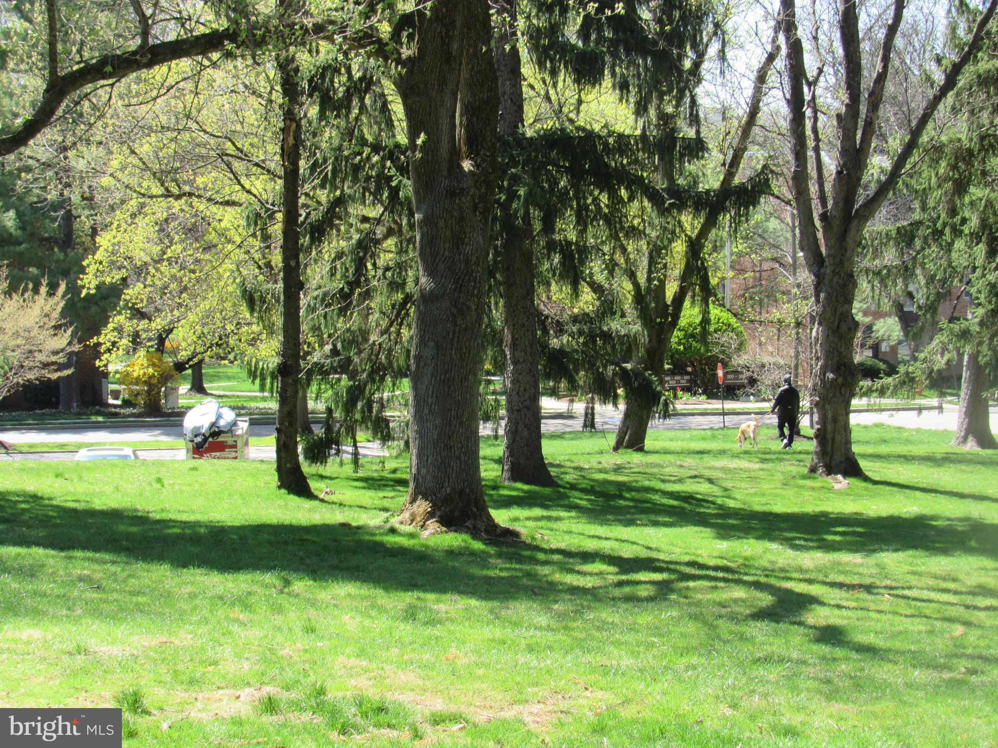 4000 Gypsy Lane, Unit 622F1 Philadelphia, PA 19129 - Photo 44 of 45 a green field with lots of trees