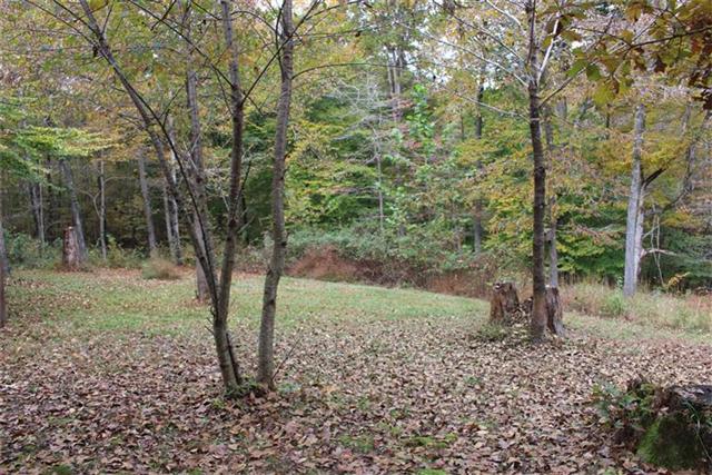 1163 Wildlife Road Dover, TN 37058 - Photo 14 of 16 Close to schools, lakes, and Cross Creeks Wildlife Refuge.