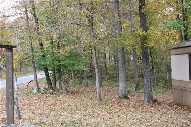 1163 Wildlife Road Dover, TN 37058 - Photo 15 of 16 Another view of the property.