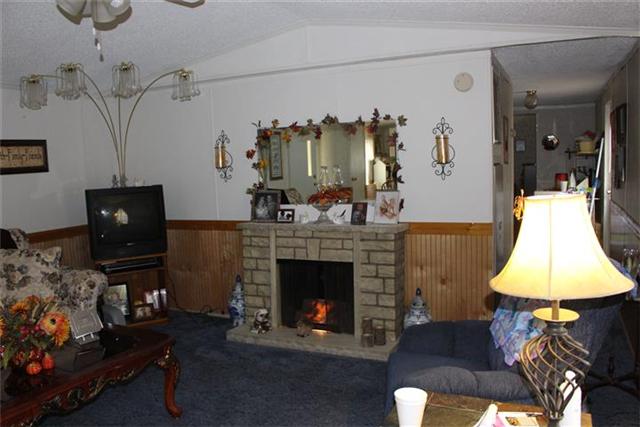 1163 Wildlife Road Dover, TN 37058 - Photo 5 of 16 Living Room offers ceiling fan. Fireplace does not convey but is negotiable.