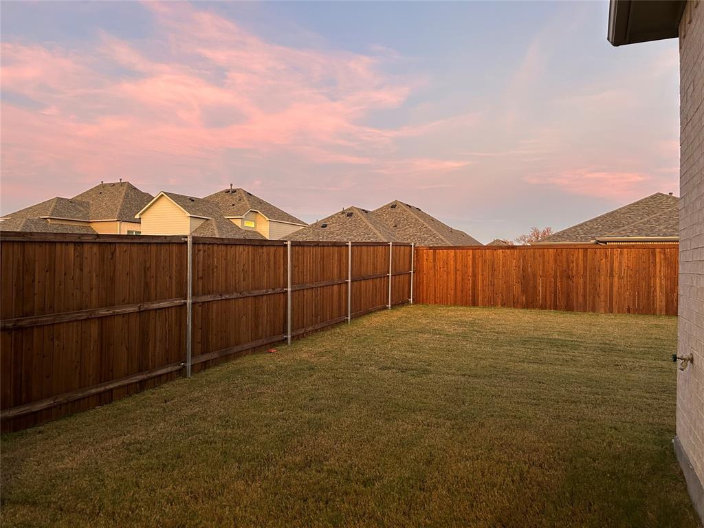 2905 Italia Terrace Princeton, TX 75407 - Photo 21 of 22 a view of a backyard with a tree