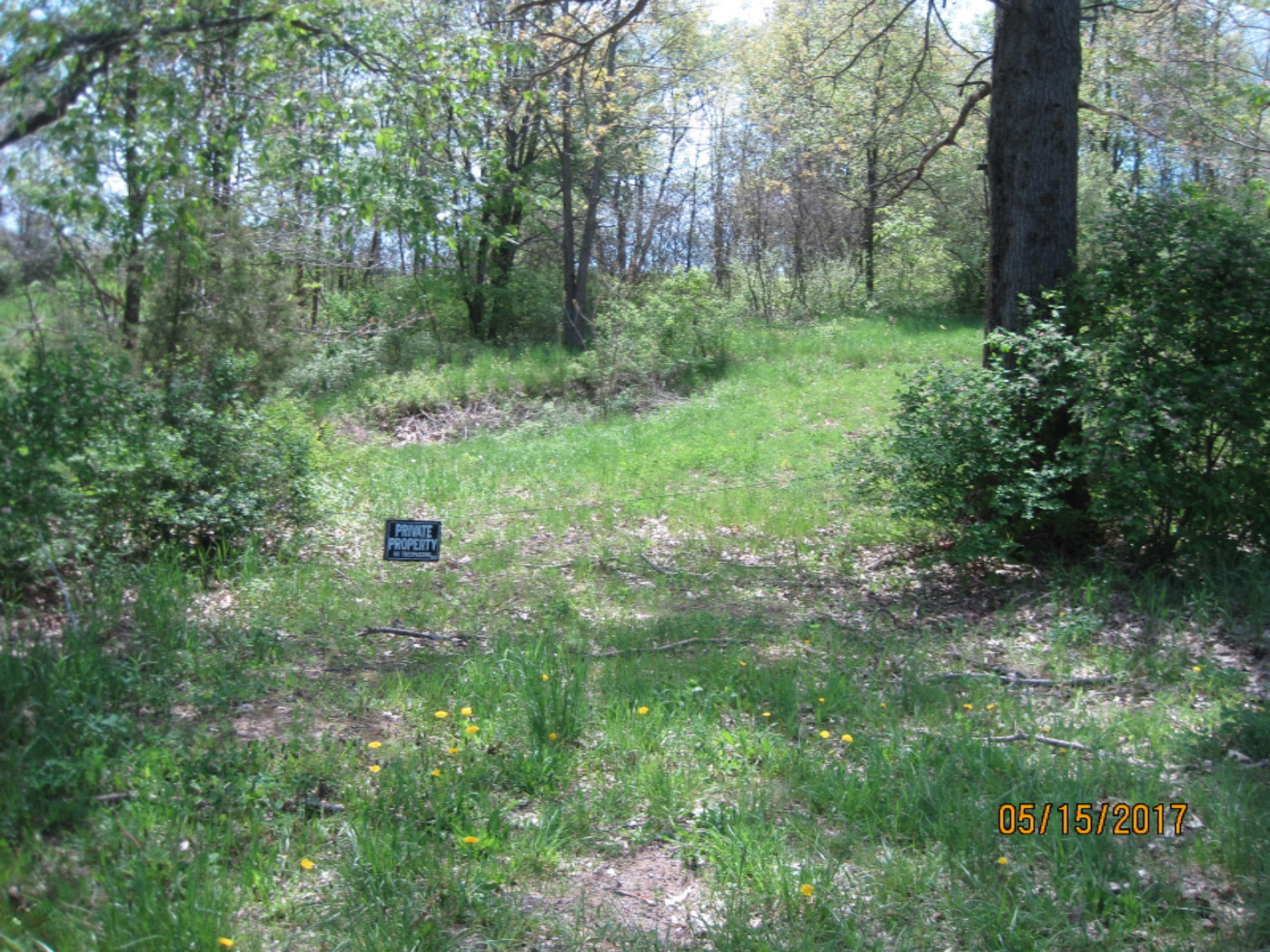 Bever Road Delton, MI 49046 - Photo 1 of 4 IMG_4343