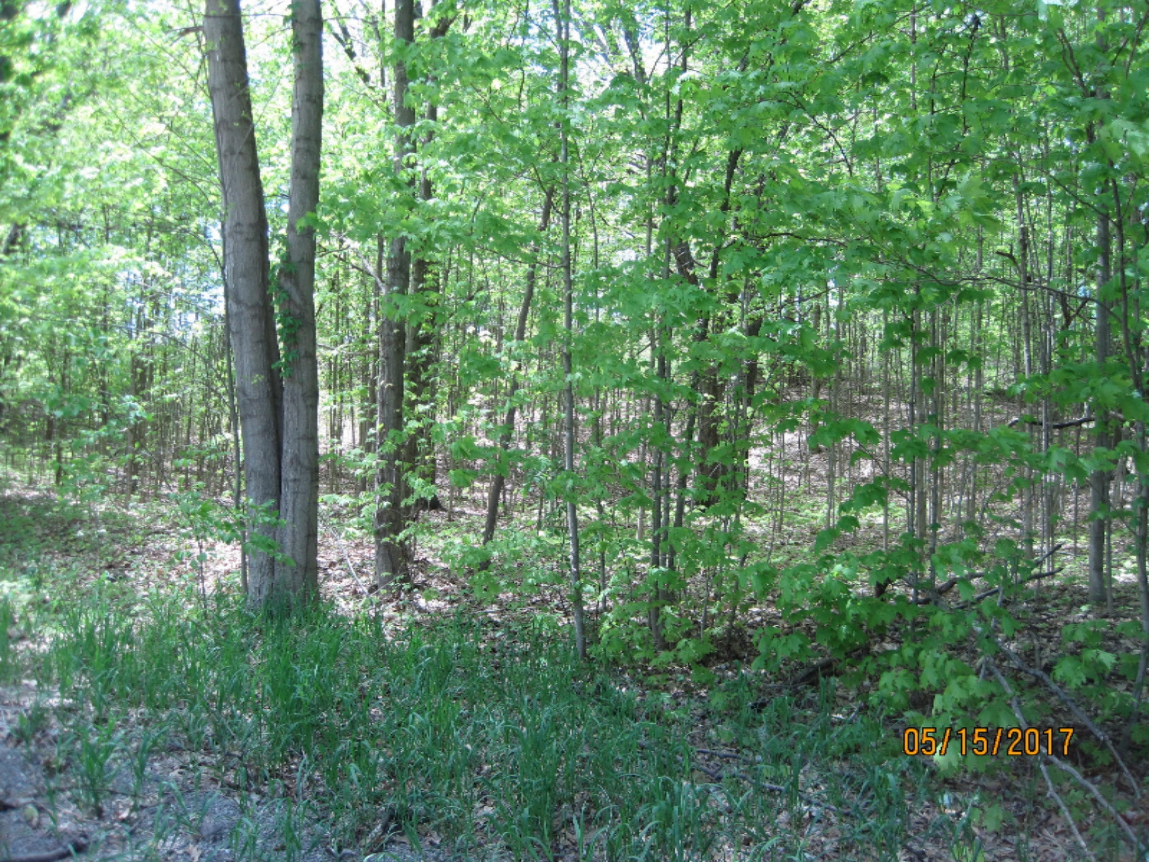 Bever Road Delton, MI 49046 - Photo 2 of 4 IMG_4346