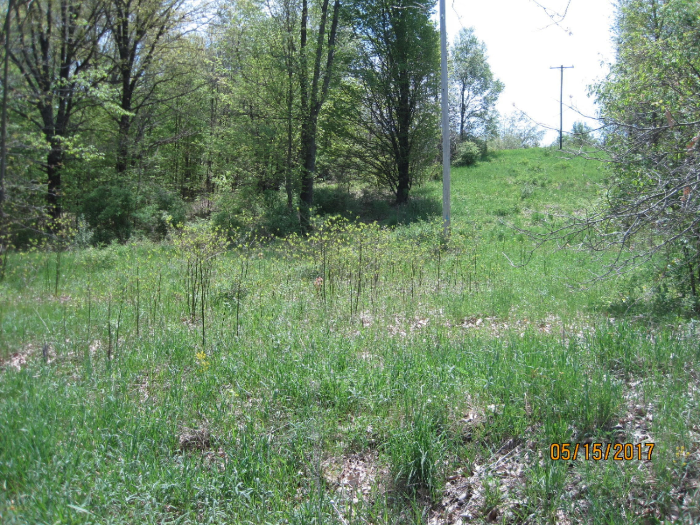 Bever Road Delton, MI 49046 - Photo 3 of 4 IMG_4344
