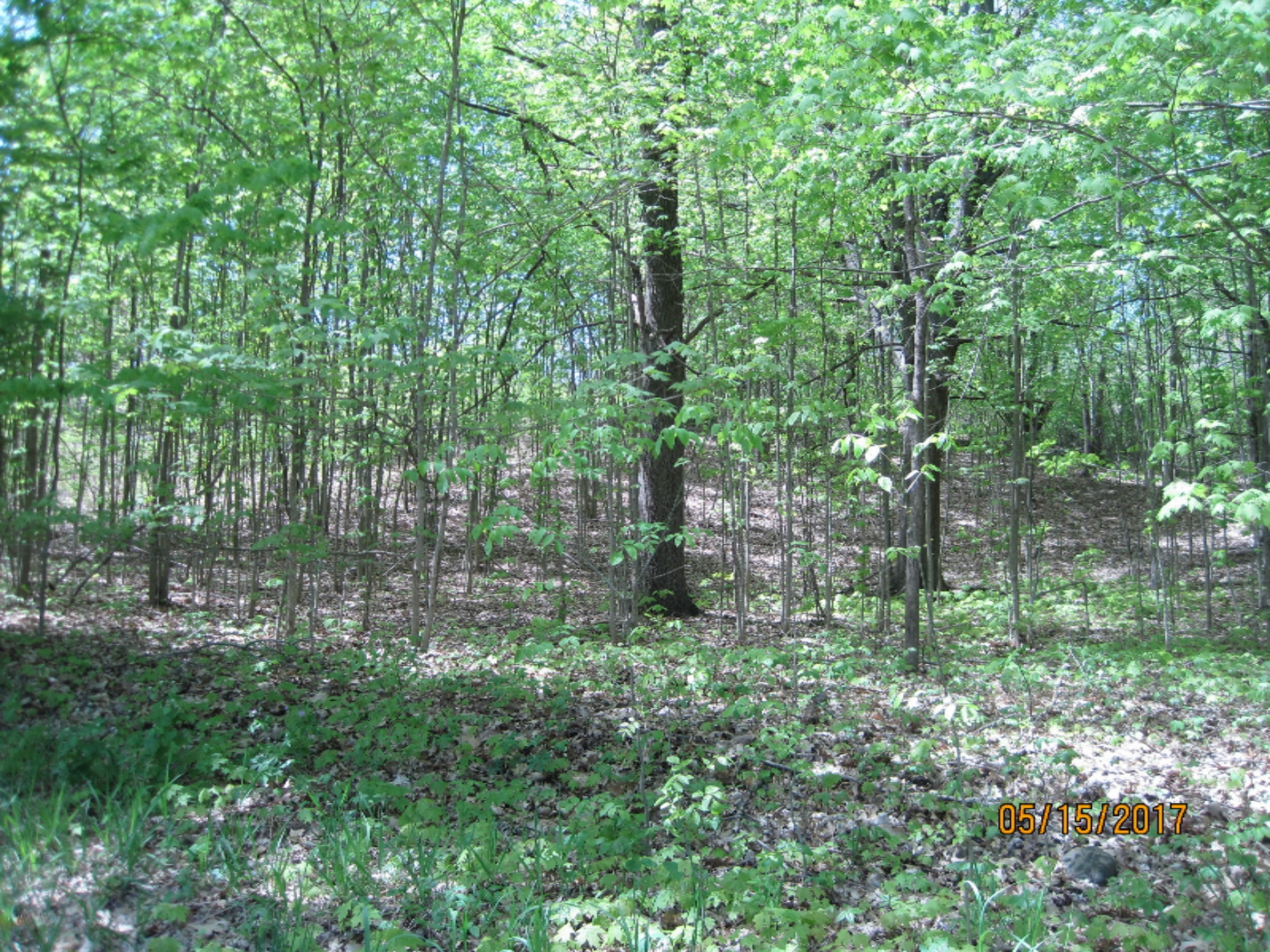 Bever Road Delton, MI 49046 - Photo 4 of 4 IMG_4347