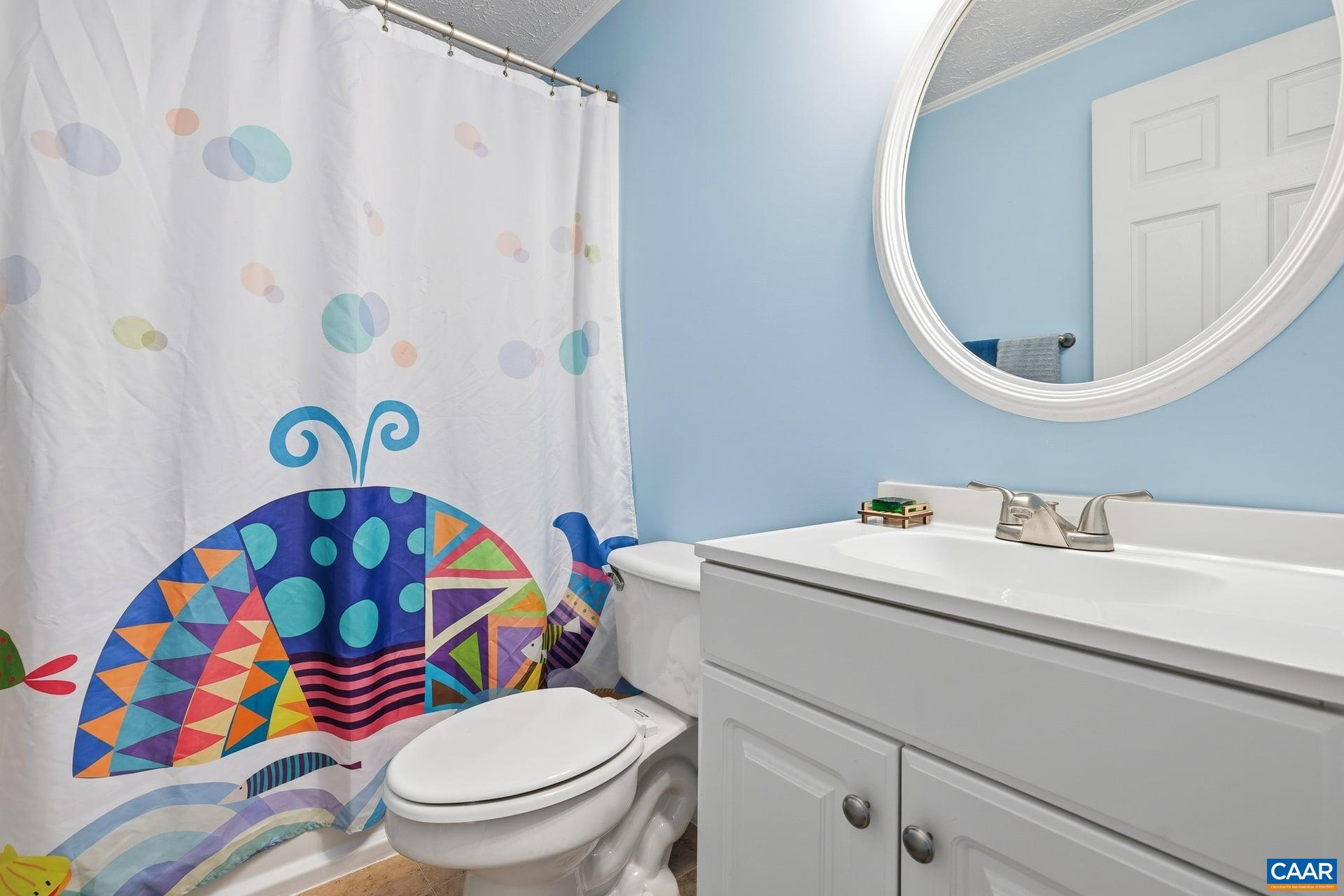979 Cedar Grove Road Ruckersville, VA 22968 - Photo 20 of 33 a bathroom with a sink a toilet and a mirror