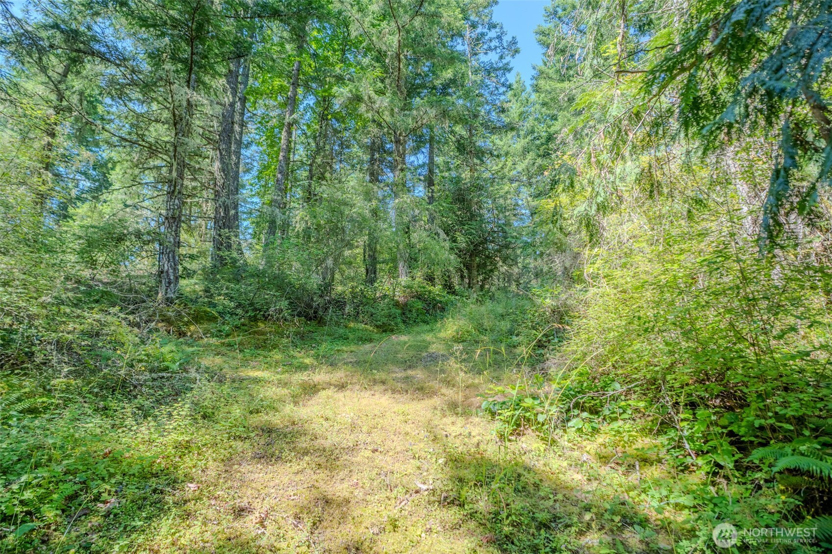 678 Swan Road Orcas Island, WA 98245 - Photo 4 of 39