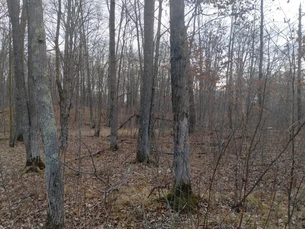 $249,000 | 28153 East Hardwood Lane, Brook Park, MN 55007