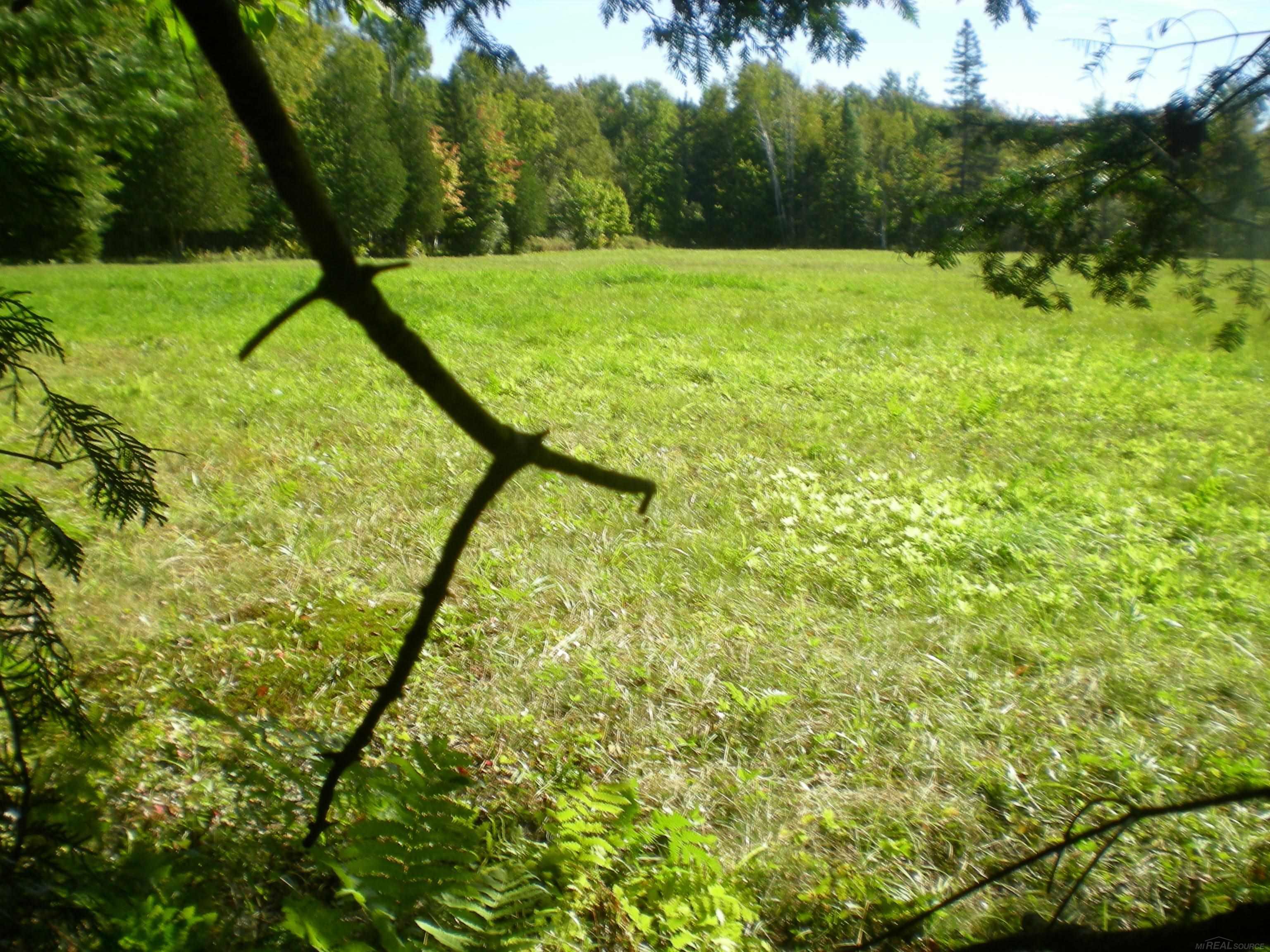 East Beedy Road Goetzville, MI 49736 - Photo 5 of 7