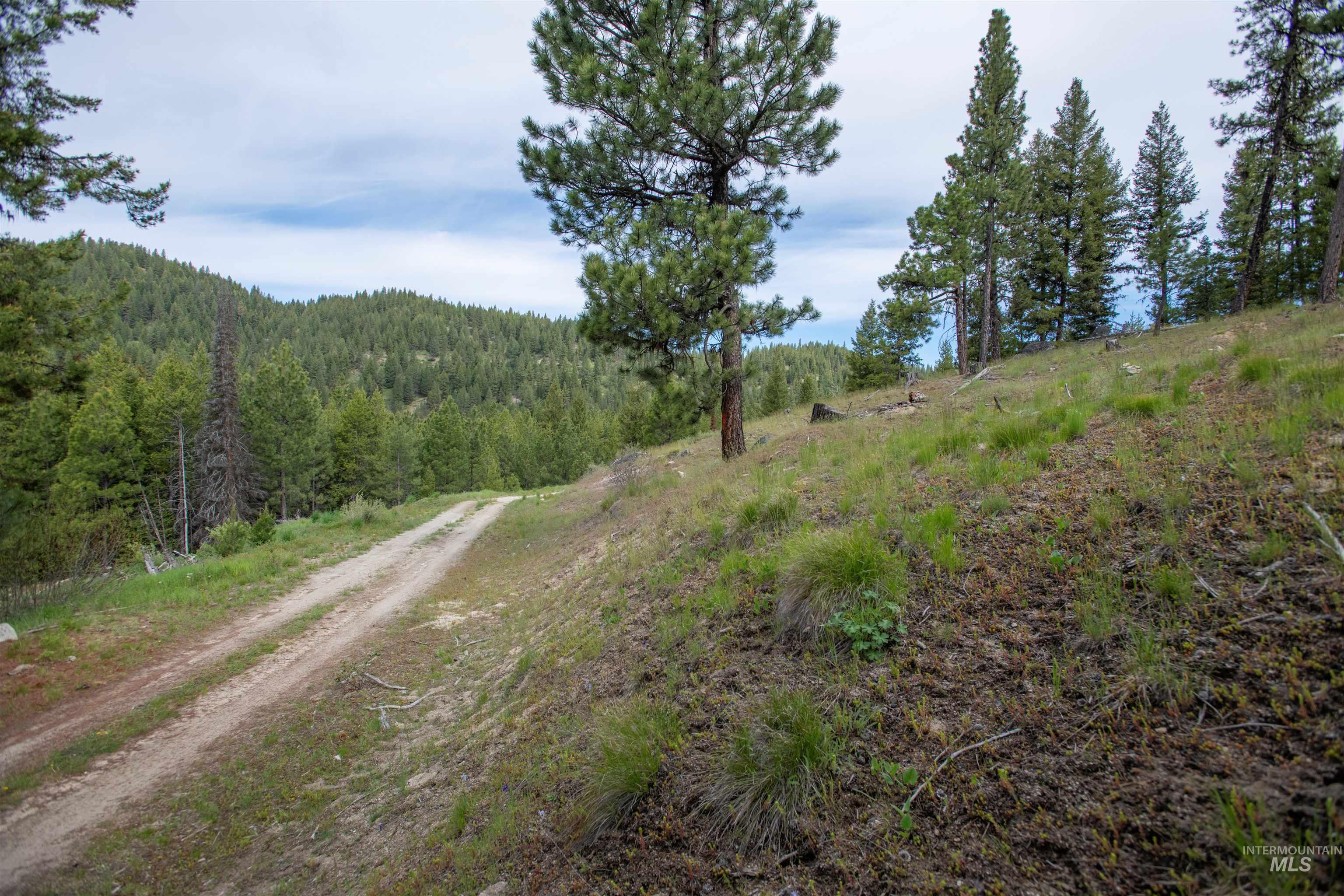 34 Clear Creek Road Cascade, ID 83611 - Photo 7 of 10