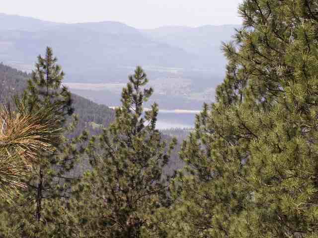 2700 Records Road Addy, WA 99101 - Photo 3 of 8