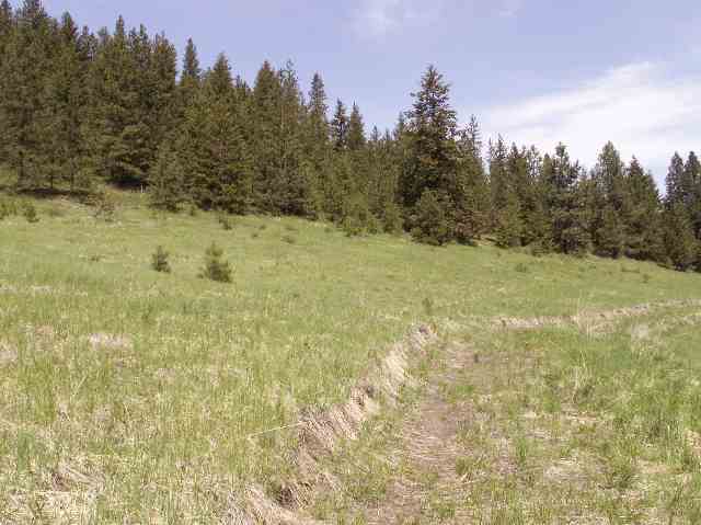 2700 Records Road Addy, WA 99101 - Photo 8 of 8