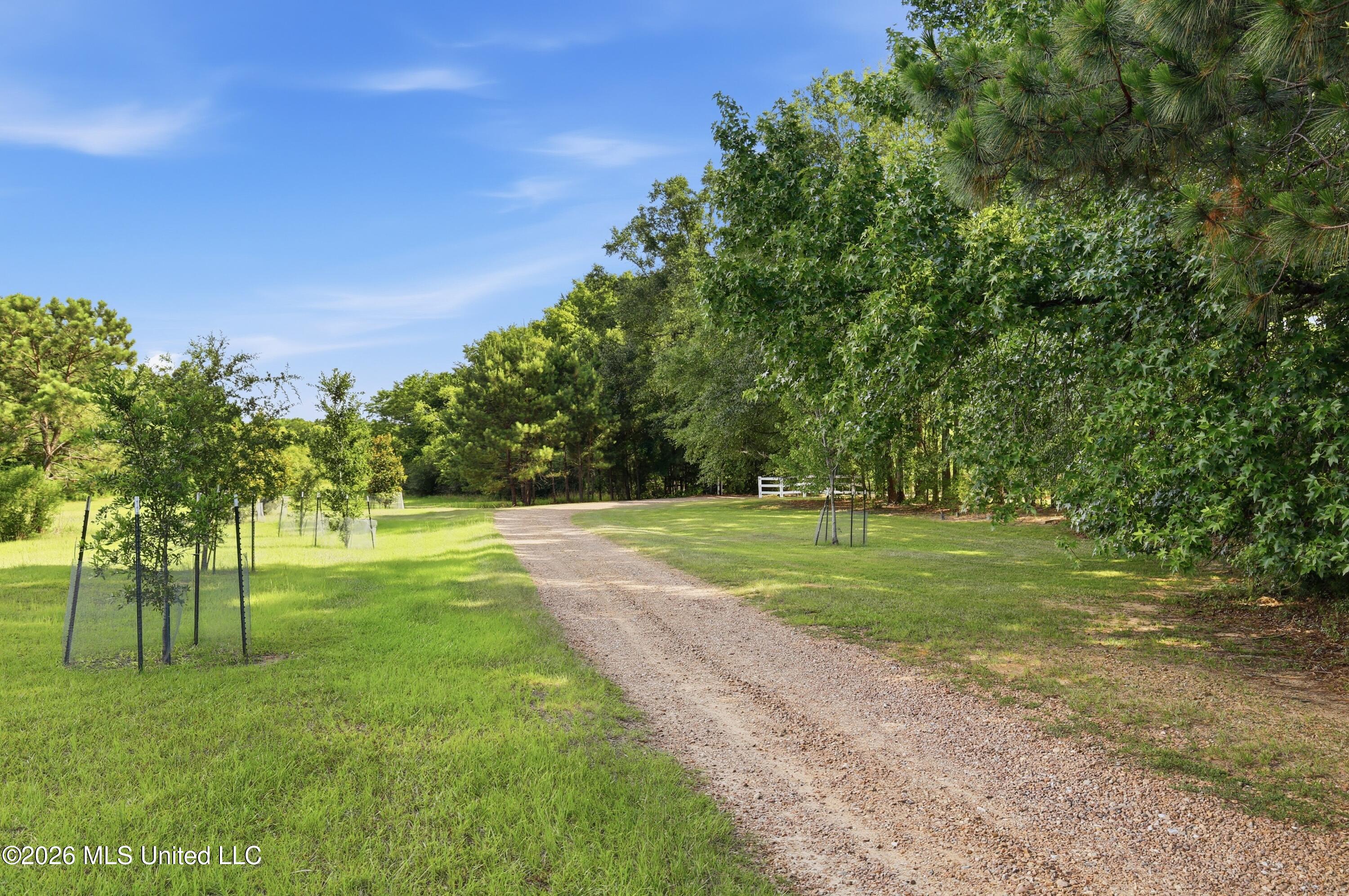 683 Cedar Hill Road Flora, MS 39071 - Photo 7 of 8 078-683 Cedar Hill Rd _ Hometoursms.com