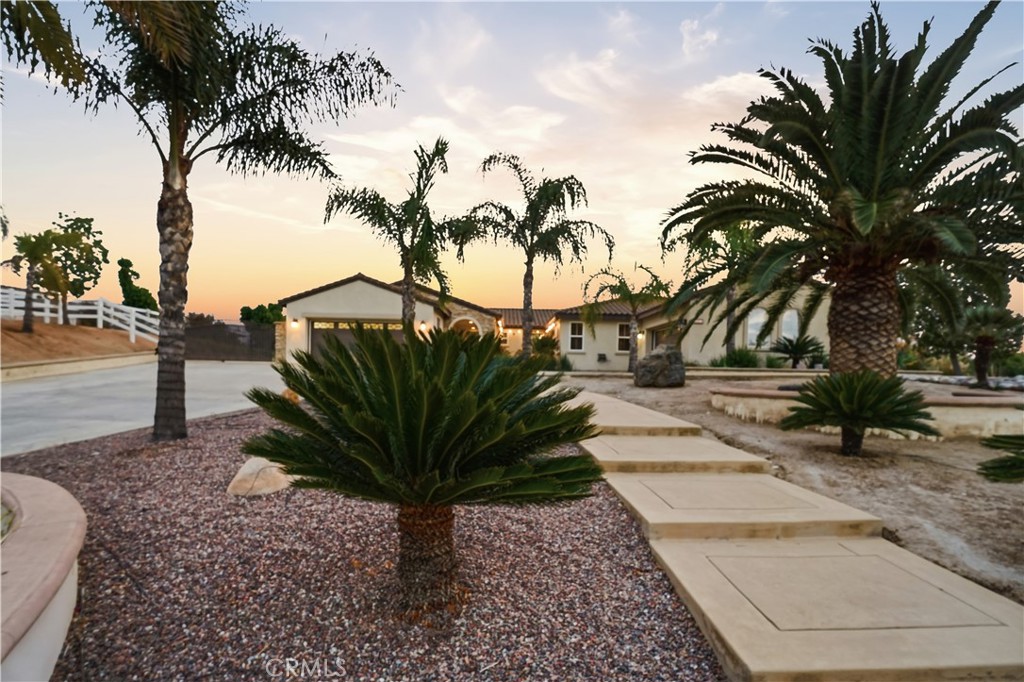 16935 Eagle Peak Road Riverside, CA 92504 - Photo 6 of 75 a view of a yard with palm trees