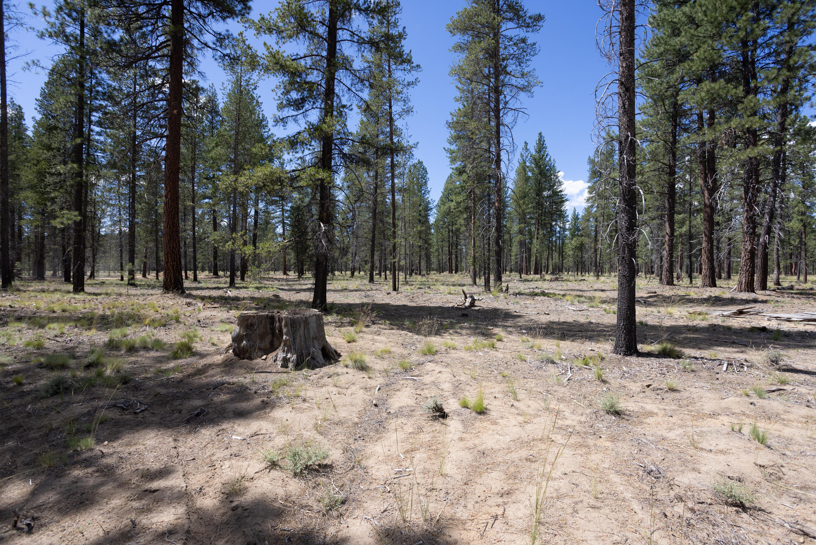 17772 Preservation Loop, Unit 485 Bend, OR 97707 - Photo 1 of 31 Caldera Homesite
