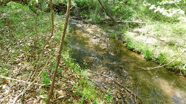 0 Lee's Ridge Road Martinsville, VA 24112 - Photo 19 of 26 Gallery Image 19