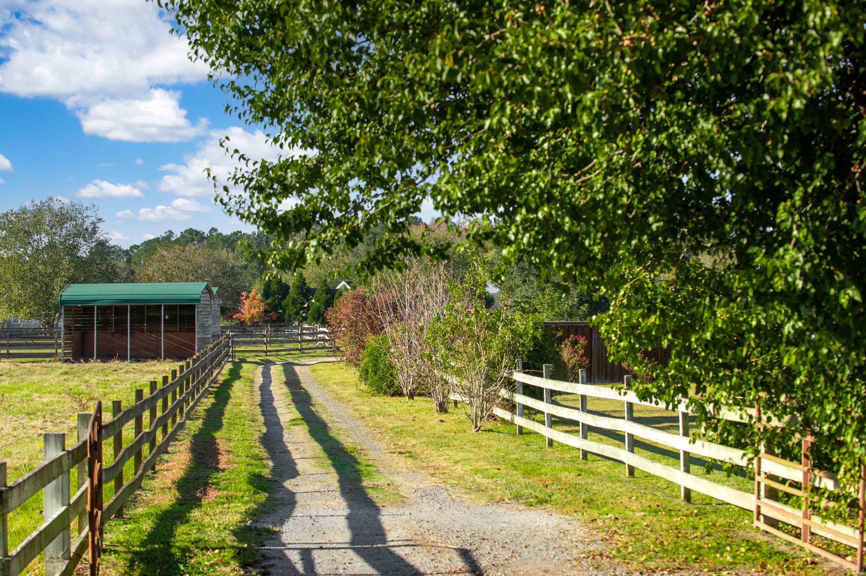 1156 State Rd S-8-376 Moncks Corner, SC 29461 - Photo 57 of 59 1156 Old Cherry Hill Rd-6