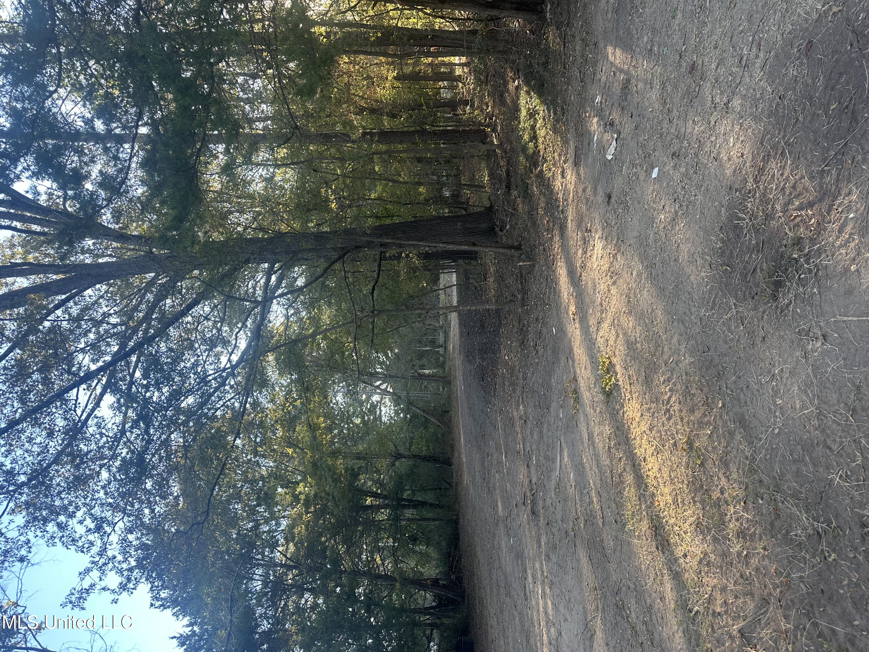 157 3 Prong Road Brandon, MS 39047 - Photo 1 of 6 drive