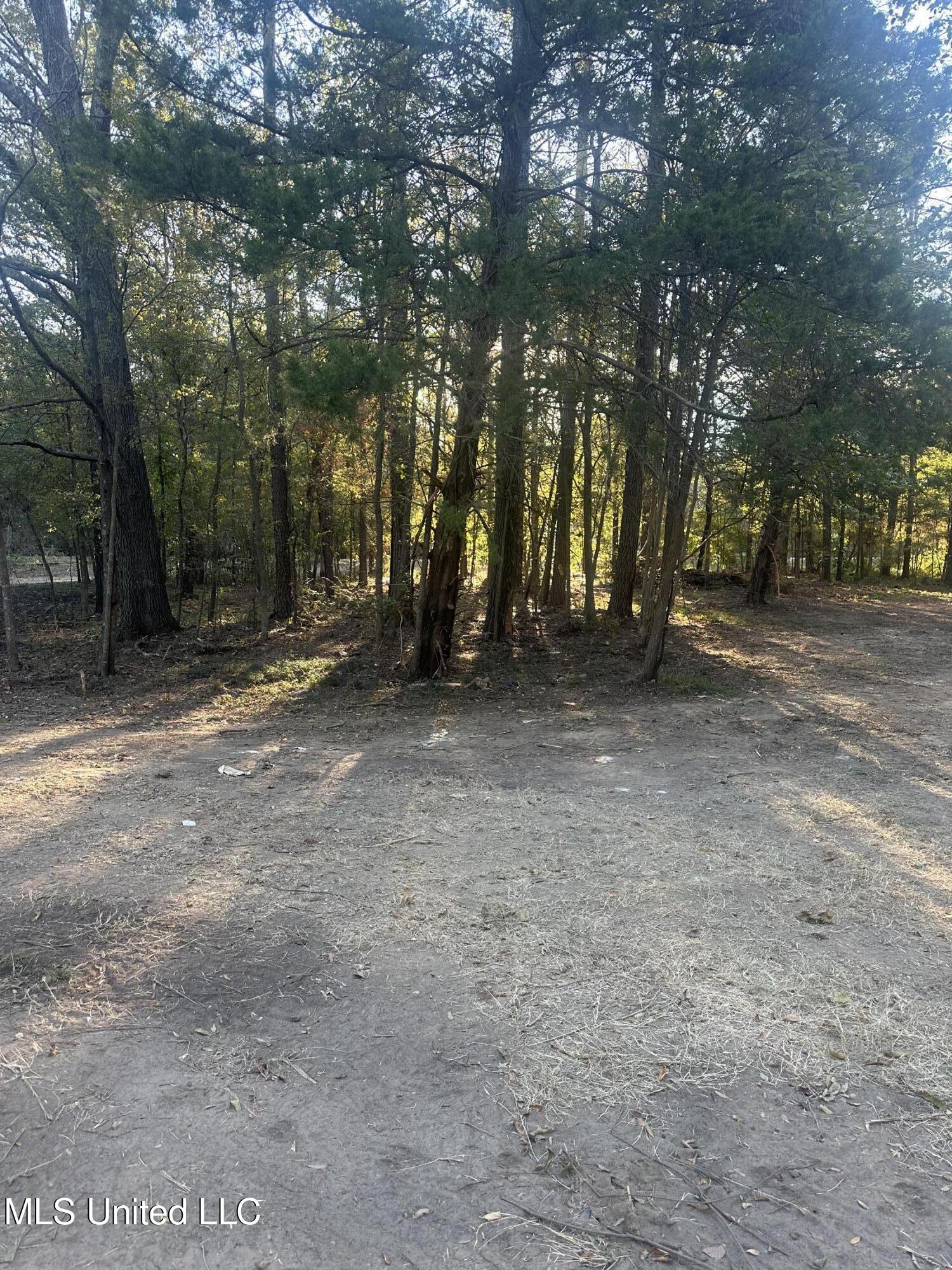 157 3 Prong Road Brandon, MS 39047 - Photo 5 of 6 IMG_6972