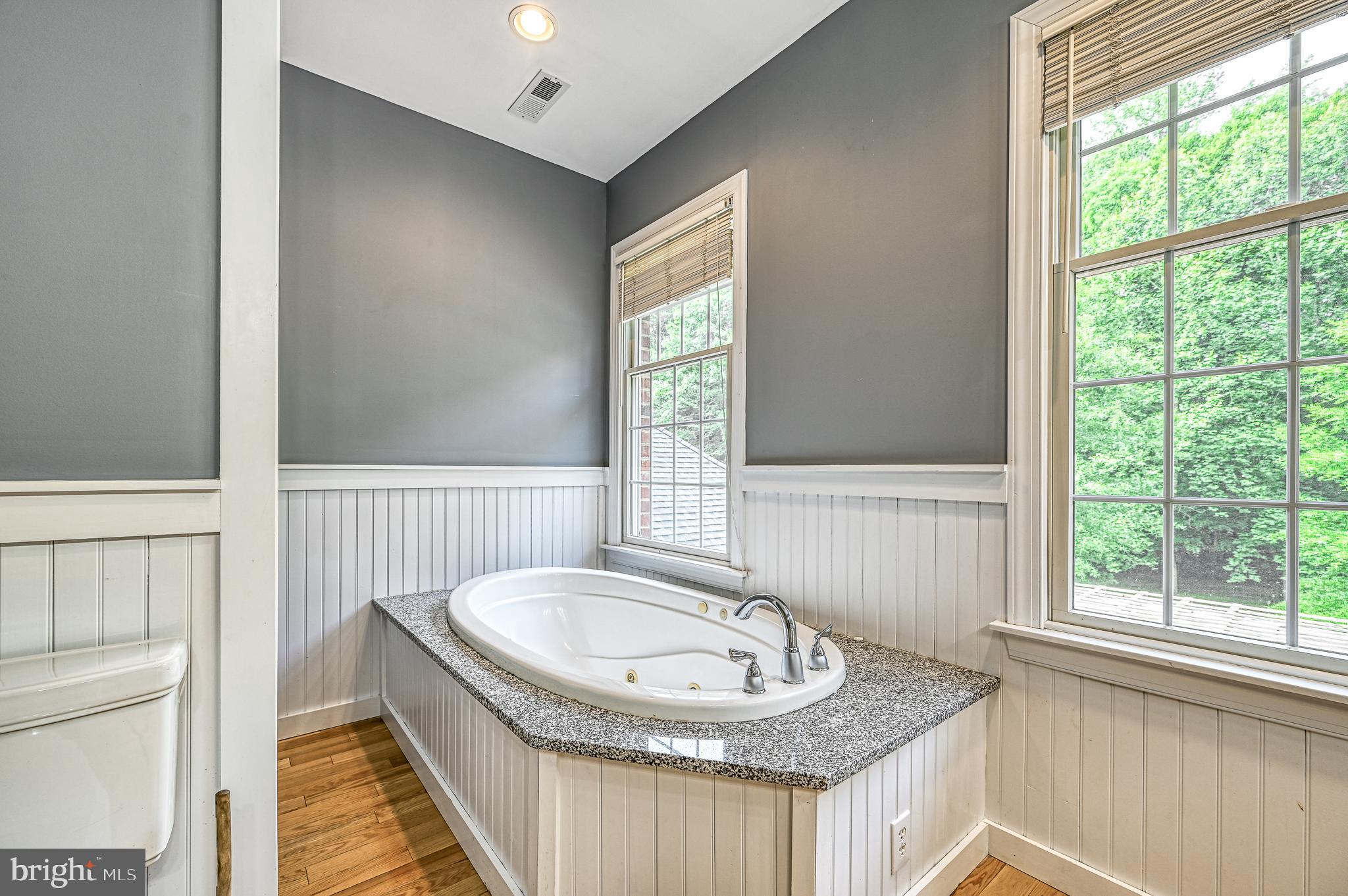 22282 Monrovia Road Orange, VA 22960 - Photo 39 of 60 Primary bathtub