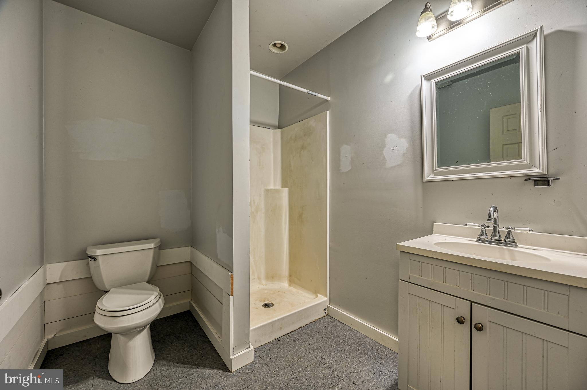 22282 Monrovia Road Orange, VA 22960 - Photo 44 of 60 Lower-Level Bathroom